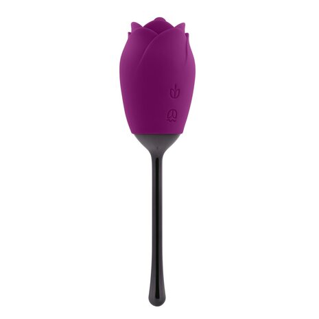 Playboy- Petal vibrator - Paars/zwart